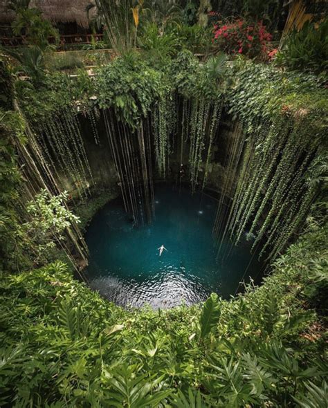 Cenote Ik Kil Dive Into The Wonders Of This Natural Sinkhole