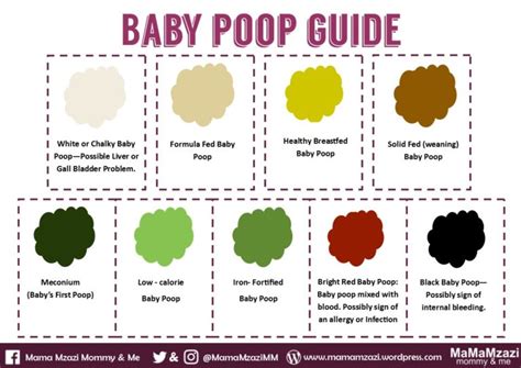 Baby Poop Guide Mamamzazi Mommy And Me