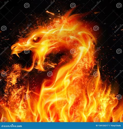 Fire Dragon Stock Illustration Illustration Of Field 134126217