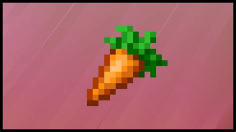 Minecraft Carrot Where To Find Carrots In Minecraft Youtube