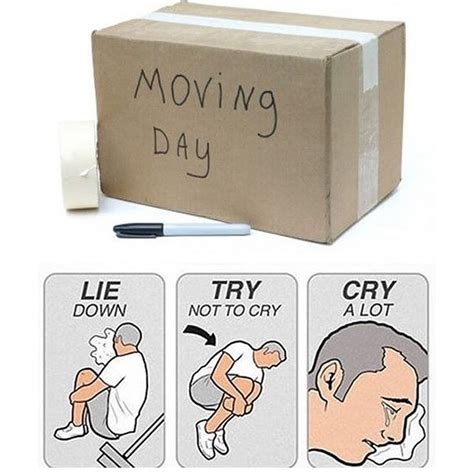 Moving Day Moving Memes Moving Humor