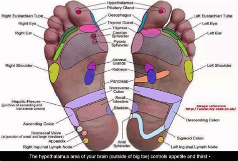 Diy Foot Reflexology 7 Pressure Points To Reduce Stress And Boost Metabolism Foot Reflexology