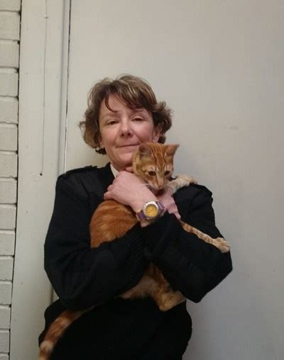 Sinbad The Kitten Survives 16 Day Egypt To Uk Journey In Shipping Container Life With Cats