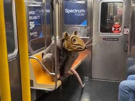 Giant Rat New York Subway In New York A Giant Rat Is Often Seen