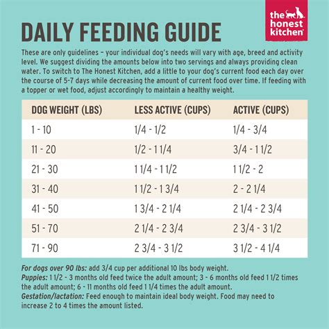 How Much Food Should I Feed My Dog Chart