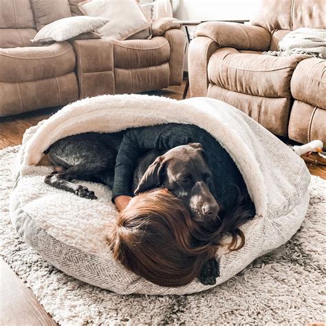Snoozer Cozy Cave Dog Beds Artofit