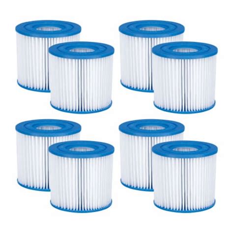 Summer Waves P57000102 Replacement Type D Pool And Spa Filter Cartridge