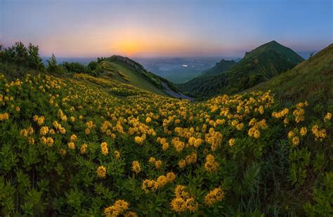 Download 1920x1080 Yellow Flowers Field Sunset Hill Mountain