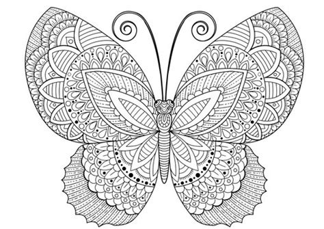 Beautiful Butterfly Coloring Pages For Adults