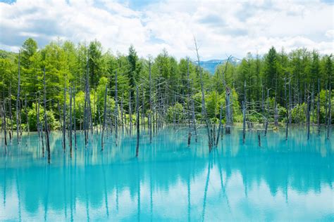 Shirogane Blue Pond｜nature Wonderland｜hoshino Resorts Tomamu Official