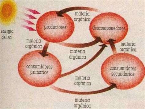 Transformaciones De La Materia