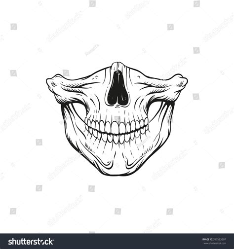 Skull Jaw Sketch Tattoo Design Hand Stok Vektör Telifsiz 397593607