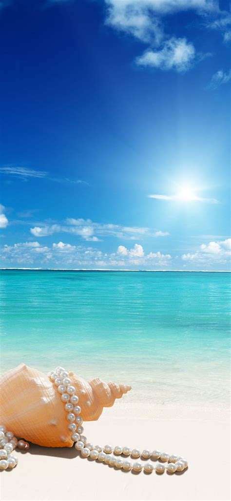 Beach Seashell Jewelry Sea Sunshine Blue 1242x2688 Iphone 11
