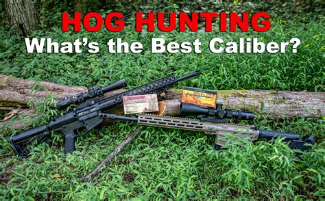 Best Caliber For Hog Hunting Whats Your Best Shot