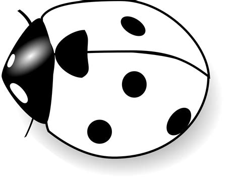 Insect Clipart Black And White Free Images 7 Clipartix