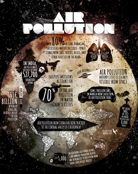 Air Pollution Infographic Infographic List