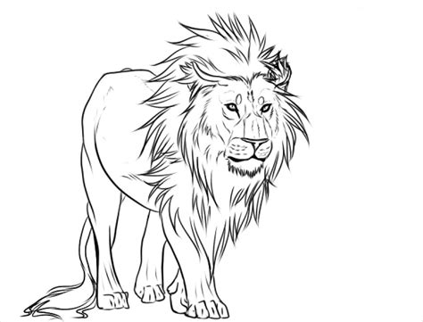 Easy Pencil Drawings Of Lions