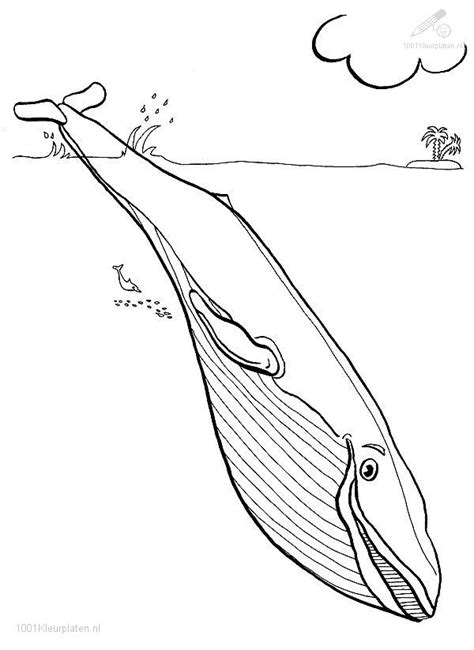 247 Dessins De Coloriage Baleine à Imprimer Sur Page 3