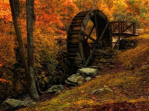 Old Forest Mill Colorful Creek Mill Fall Leaves Trees Autumn