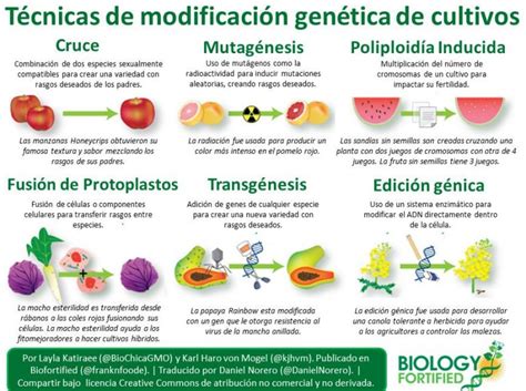 Técnicas De Modificación Genética De Cultivos Invdes