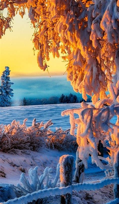 128 Best Images About Winter Wonderland A Celebration Of