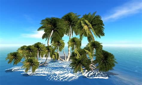 Palm Trees On The Island Wallpapers And Images Wallpapers Pictures