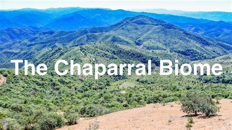 The Chaparral Biome Youtube