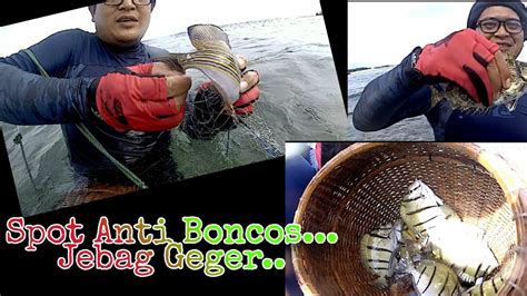 Spot Jaring Ikan Anti Boncos Di Pantai Geger Netfishing Dapat Banyak Ikan Karang Youtube