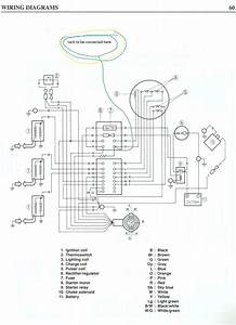 2000 Yamaha 50 Hp 4 Stroke Wiring Diagram