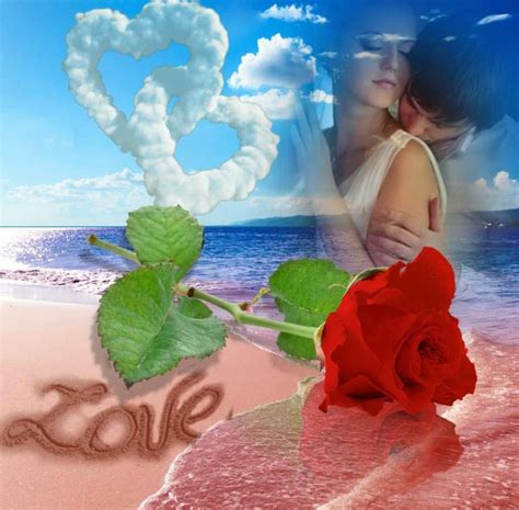 Couple Hearts Rose Beach And Love Live Lokai Bracelet Pool Float