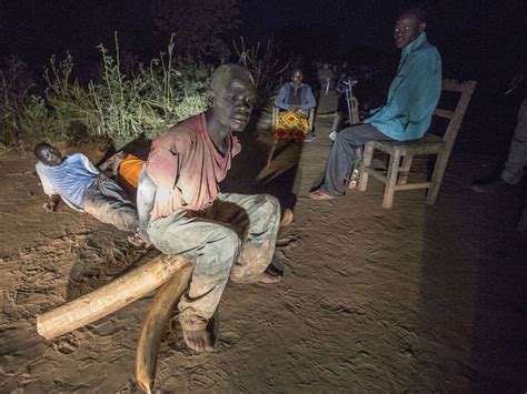 Poachers Arrest Caught On Camera One Hour After They Shot An Elephant