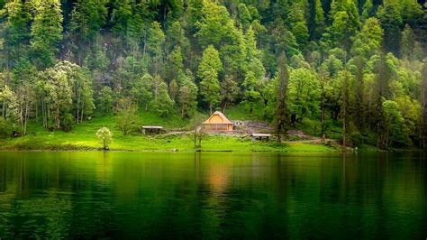 4553370 Hills Forest Lake Cabin Mist Water Nature Green Trees