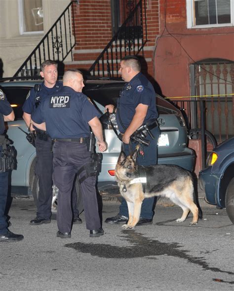 Cops Arrest Homeless Man For Sexual Attacks Robberies In Brooklyn