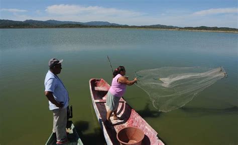 Mujeres Se Abren Espacio En La Pesca La Prensa