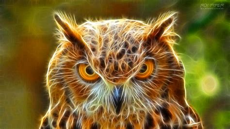 Owl Fractalius Wallpaper Ver5 By Roypyper On Deviantart