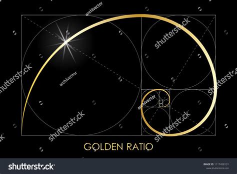 Golden Ratio Fibonacci Number Circles In Golden Proportion Geometric