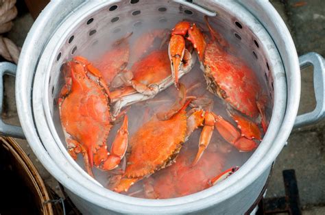 How To Steam Blue Crabs Maryland Steamed Crab Shipping And Tips