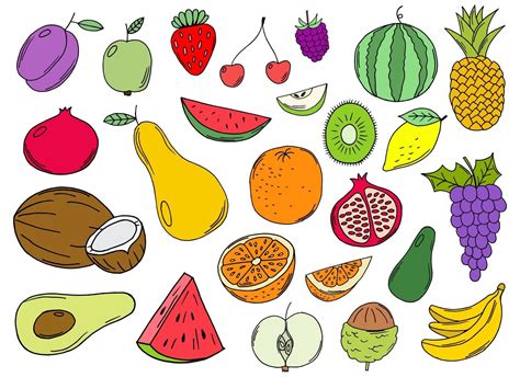 Hand Drawn Fruits Collection Vector Design Illustration Isolated On
