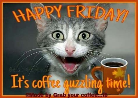 Its Coffee Guzzling Time Happy Friday Pictures Photos And Images