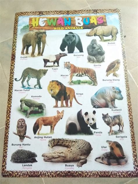 Poster Hewan Jual Poster Gambar Dunia Binatang Animals Di Lapak Bumi