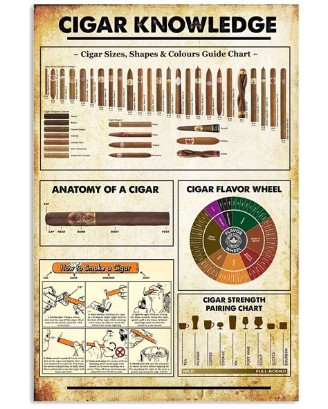 Cigar Knowledge Poster Guide Anatomy Of Cigar Poster Canvas Print