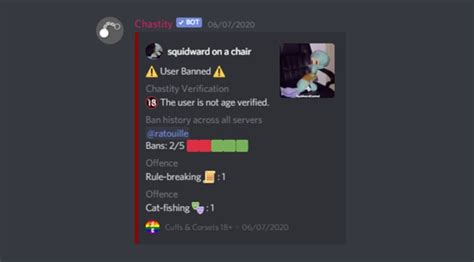 A discord bot aimed at providing you with your personal overwatch statistics. Code a discord bot in python to fit your needs by Callumupton