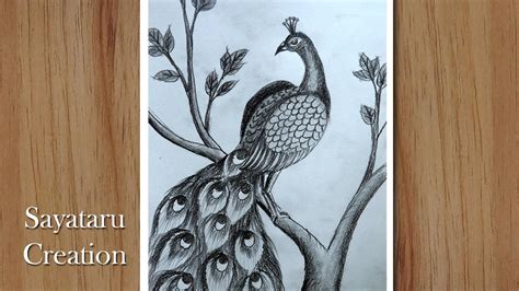 how to draw a peacock step by step with pencil Pencil drawing for beginners Çocuk Gelişimi
