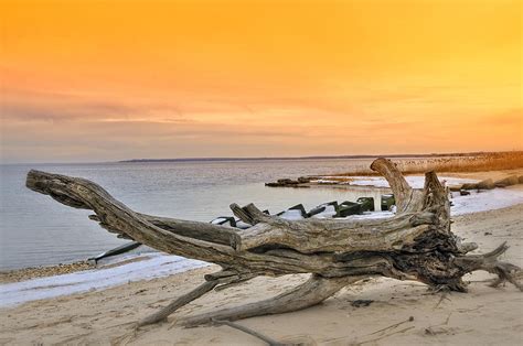 Driftwood Sunset Photograph By Tim Doubrava Fine Art America