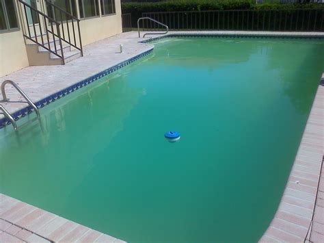 Is Your Pool Water Cloudy Heres How To Fix It Updated 2024