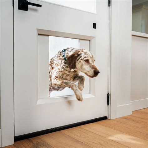 Doors With Built In Dog Door Encycloall