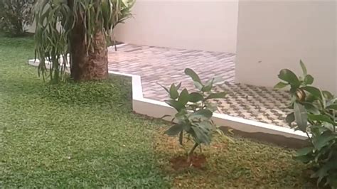 Sehubungan dengan adanya kekurangan dana di mushola baitul rohman yang. Contoh Taman Minimalis Di Rumah - YouTube