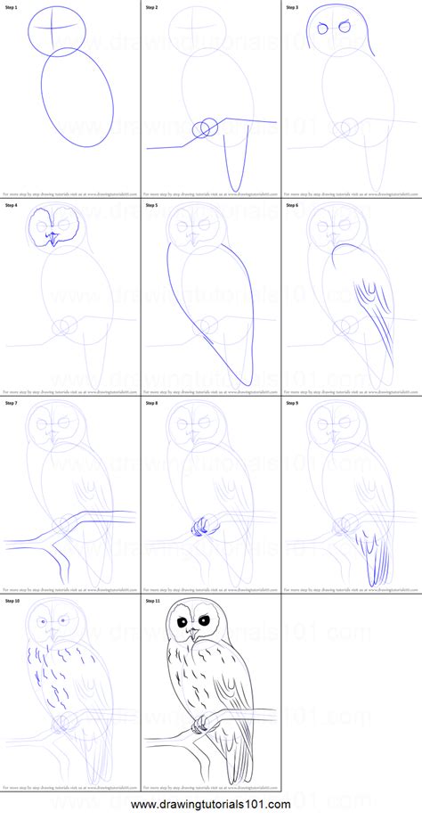 How To Draw A Tawny Owl Printable Step By Step Drawing Sheet