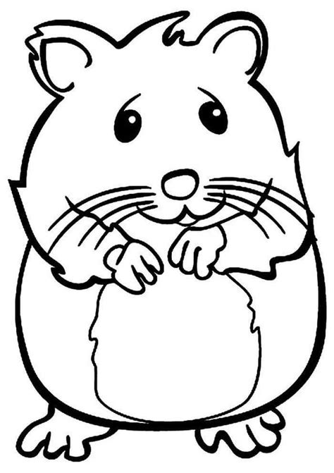 Hamster De Desenho Animado Comendo Para Colorir Imprimir E Desenhar