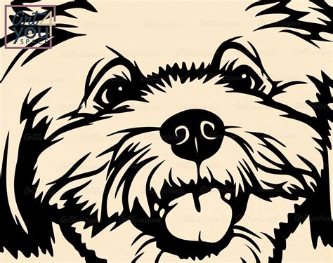 Maltese Puppy Svg Dog Svg Cricut Cute Face Head Funny Etsy